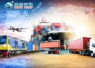 وكيل الشحن البحري الأمازون FBA من الصين إلى الولايات المتحدة الأمريكية / أوروبا