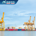 FBA International Dropshipping Business من الصين إلى الولايات المتحدة الأمريكية وأوروبا DDU DDP
